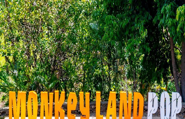 Monkeyland – Visite guidée d'une demi-journée avec transferts - Photo 4